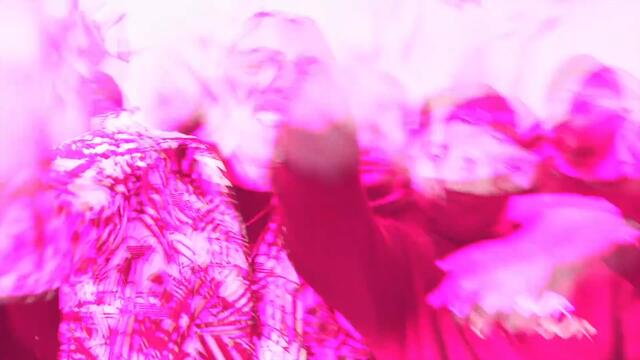 Dutchavelli -  Bando Diaries (Remix) [feat. OneFour, Kekra, Noizy & DIVINE]
