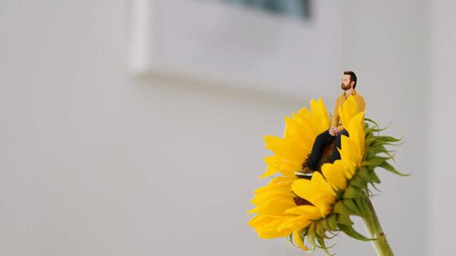 Tom Rosenthal - FLOURISHING [Official Video]