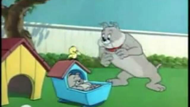 Tom and Jerry 5 [BG Parody]