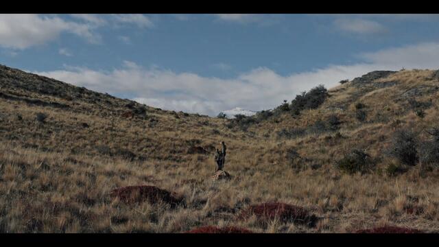 METZ - Blind Youth Industrial Park [OFFICIAL VIDEO]