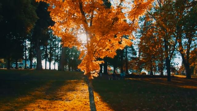 Mr. Black - Pozovi me (Official Video) 2020