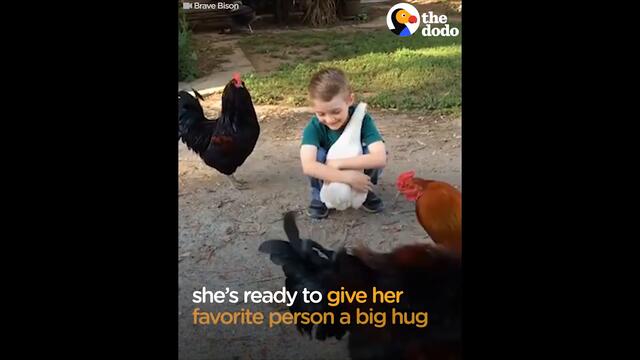 Chicken Hugs Boy After Recognizing Him with New Haircut | The Dodo