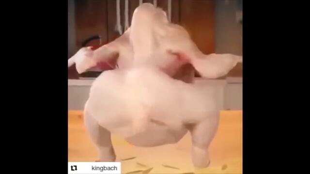 Пиле играе кючек (Best Edition) / Chicken Is Dancing Kuchek