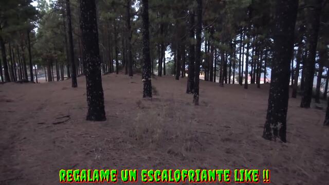 Escapando del Bosque de CARTOON CAT y Siren head ¿Regresa Mickey Mouse Infernal?