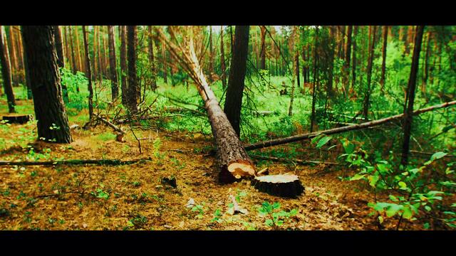 Junior Reid feat. Julian Marley - Mother Nature [Official Video 2020]