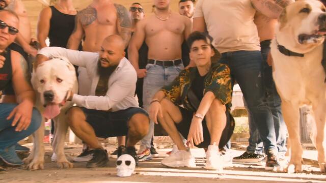 ANDI SI BERCEA IN abi & Dani Mocanu - REGI ROMANIEI ( OFFICIAL VIDEO )