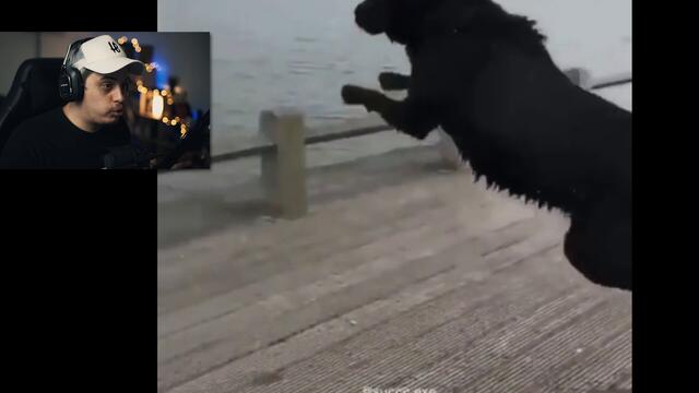 НЕ Обясними Инциденти...?!?! *СМЯХ*