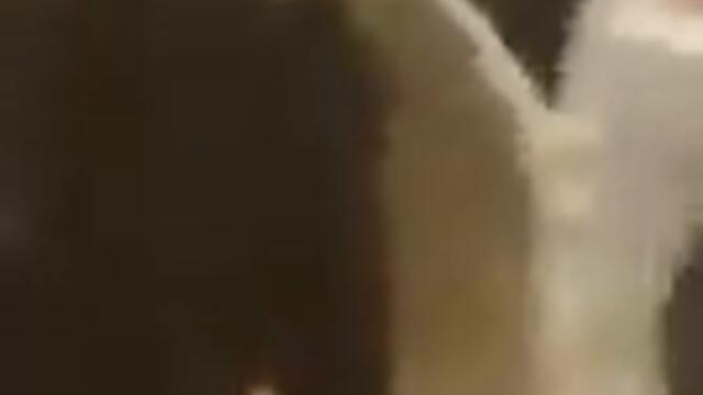 Kuchek - Universal / Кючек - Универсал