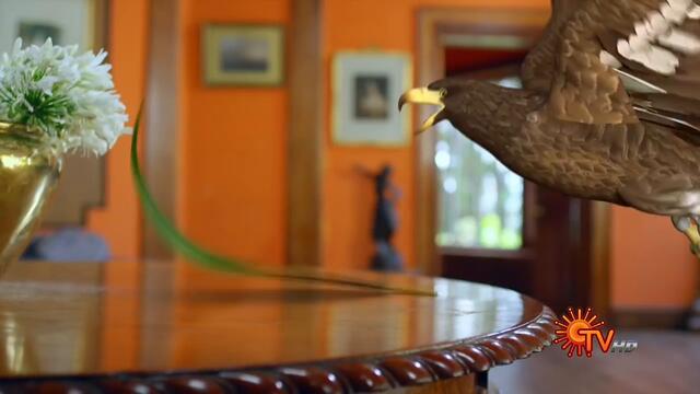 Maya - Episode 01 | மாயா | Digital Re-release | Sun TV Serial