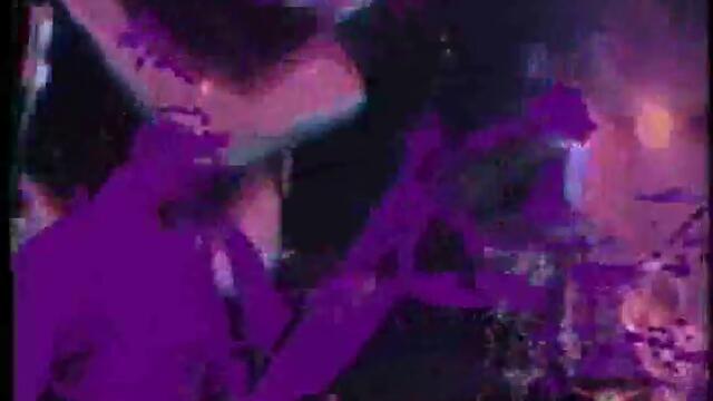 Human Sexual Response  Pound