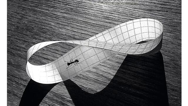 Out of the Shadows...