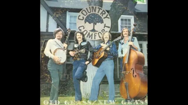 Country Comfort - Shady Grove