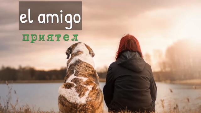 🇪🇸 Урок 17 🇪🇸 - 📚55 думи, които трябва да знаете, Част 1