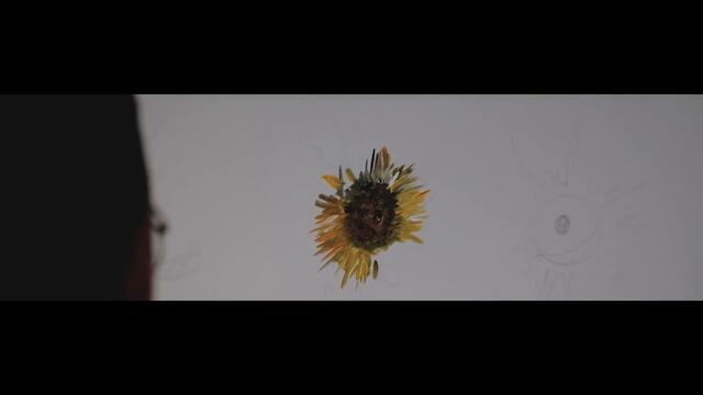 Mary Jane - Çiçekler Açar (Official Video)