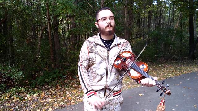 The Bees' Nest - Fiddle Improv