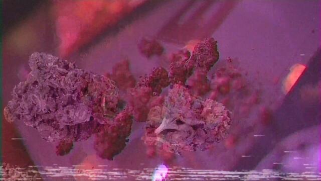 G.T. - Saint Laurent Glasses (Official Video)