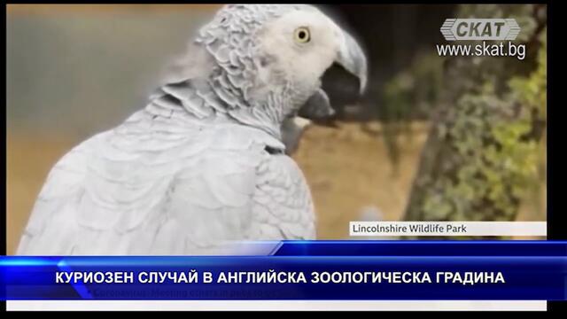 Куриозен случай в английска зоологическа градина