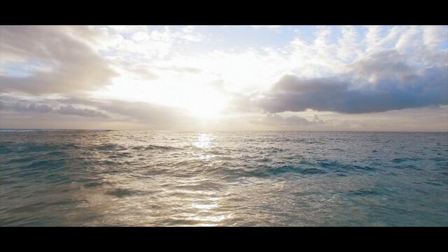 Deep Zone Project ft.  Kamen Vo - Ela Izgrei (Mascota & D-Trax Remix)