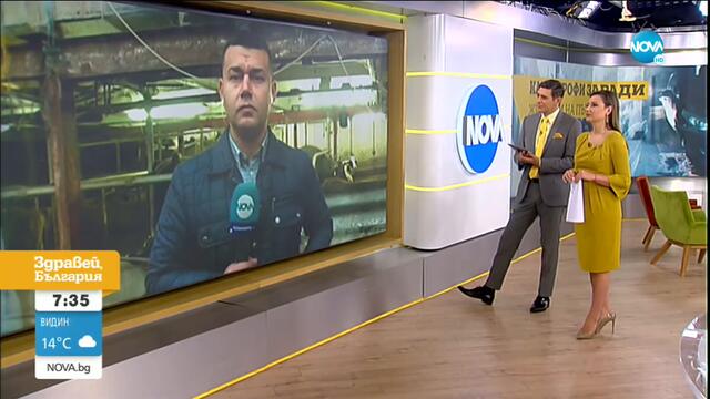 Протест в „Кремиковци" срещу излизащи на пътното платно животни