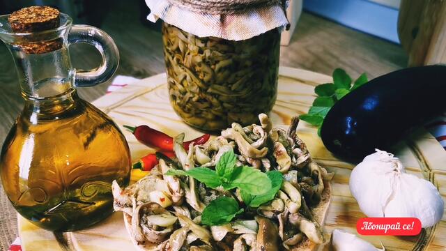 Консерва от маринован патладжан в олио за зимата. Италианска кухня.