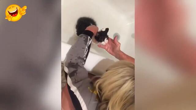 Funny animals - Funny Videos №43