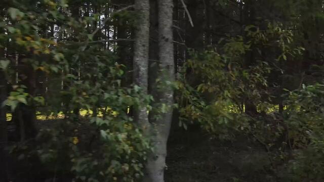 Heroes - Julia Westlin (Official Video)