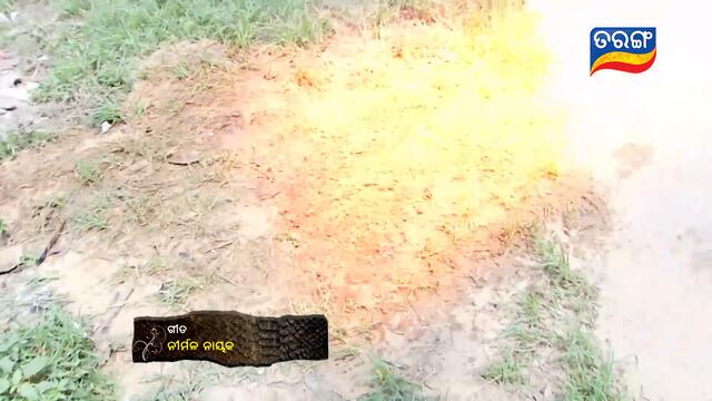 Maya | Full Ep 150 | 01st Oct 2020 | Odia Serial – TarangTV