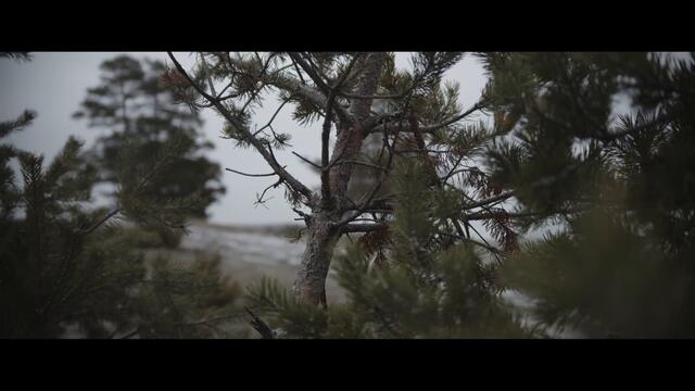 Billy Hlapeto x D3MO - Бели нощи / Beli noshti (OFFICIAL VIDEO)