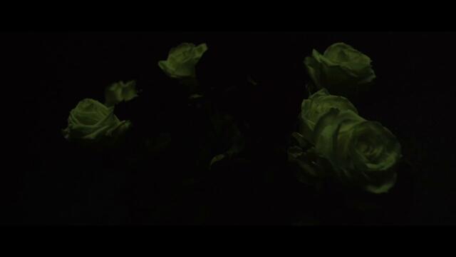 BLACKOUT PROBLEMS - DARK  (Official Video)