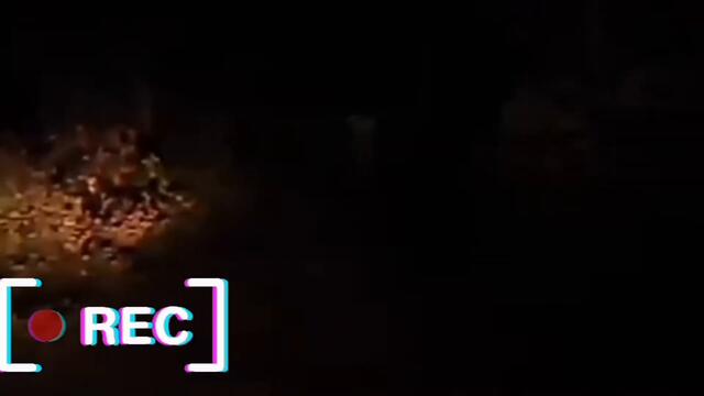 Трейлър на канала /2020г.