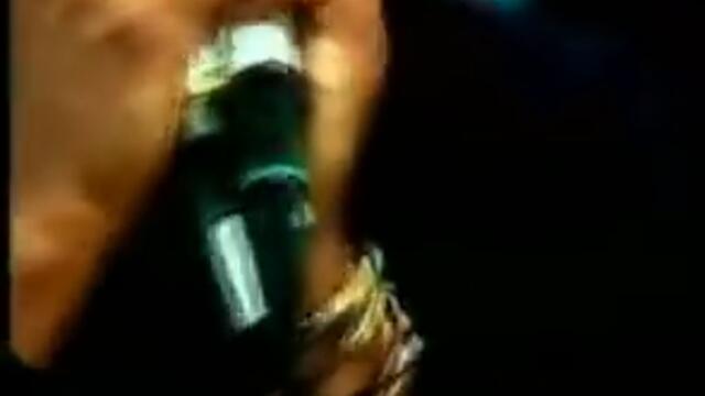 The Fly's - Got you where I want you