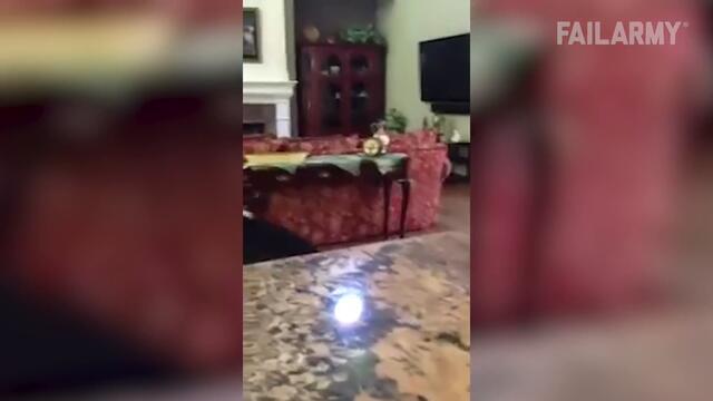 Remote Controlled Chaos (September 2020) | FailArmy