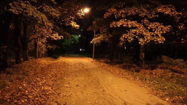 Ночь в парке и Луна над храмом . Полнолуние  02.10.2020.