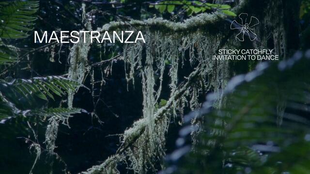 Fleet Foxes - "Maestranza" (Lyric Video)