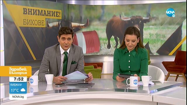 Неочаквана развръзка с биковете, тероризиращи „Лозенец” - Здравей, България (07.10.2020)