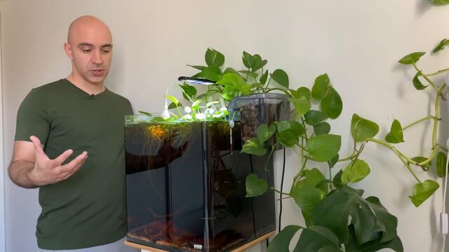 How to Take Care of Your Blackwater Aquarium Long-Term