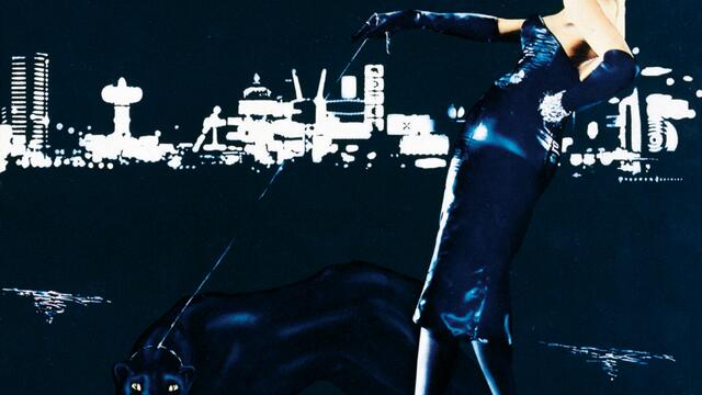 In Every Dream Home A Heartache