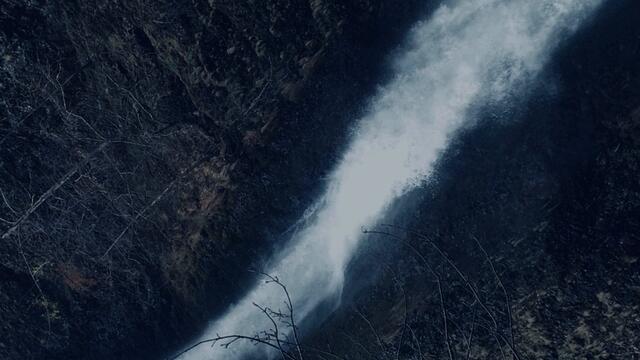 Rational Creatures (feat. Aubrianna Decker)