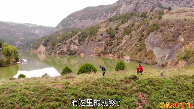 【陕北霞姐】郊外挖黄花菜，霞姐做“野菜鸡蛋包子”，包的像老鼠，女儿可馋了！