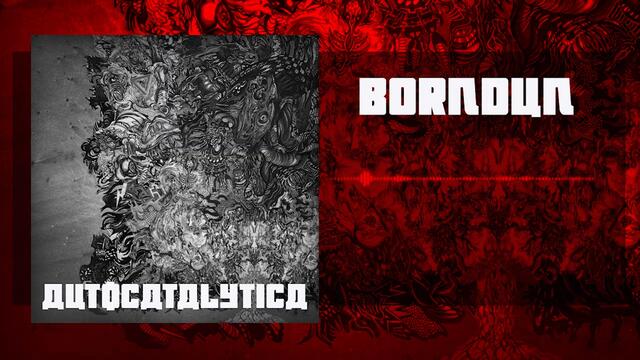 Autocatalytica -  Borndun - (OFFICIAL LYRIC VIDEO)