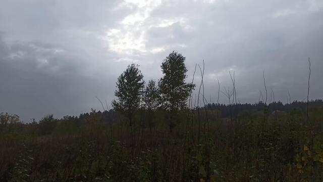 НОВОЛУНИЕ 16 ОКТЯБРЯ 2020. ЧТО МОЖНО И НЕЛЬЗЯ ДЕЛАТЬ.советы астрологов