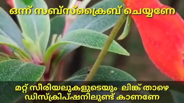 Kudumba vilakku serial | 17/10/2020 | kudumba vilakku serial latest episode kudumbavilakku