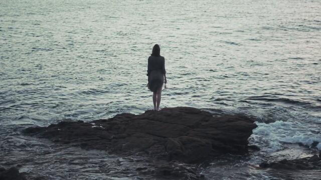 Palm Reader - WILLOW (Official Video)