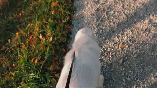 Haunted & Abandoned Farm House - FULL EXPLORATION - PART 1