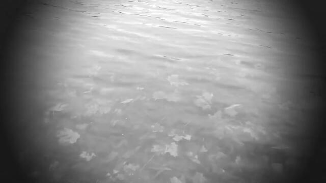 ПОЛНОЛУНИЕ в Октябре 2020