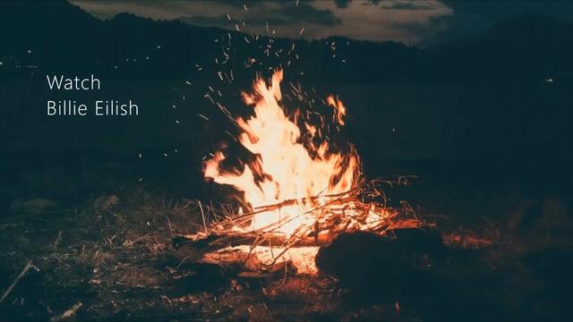 Billie Eilish - Watch (Acoustic Cover)