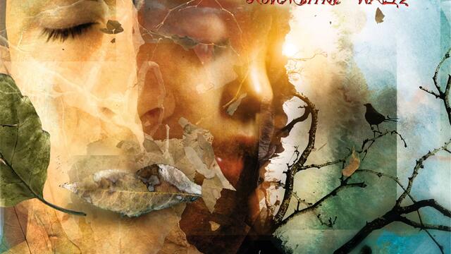 Conservatory Resonance