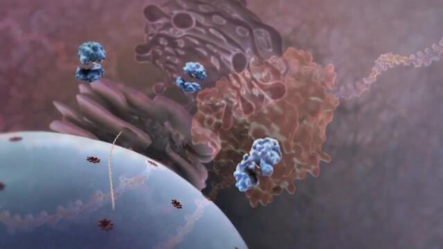 TOП 5 Факта за Испанския грип(инфлуенца)