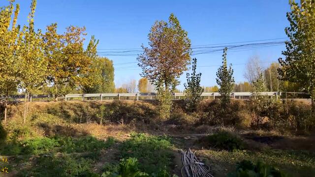 【农家的小勇】小勇做山西特色炒不烂子，青椒肉丝炒的太地道了，一大碗没吃过瘾