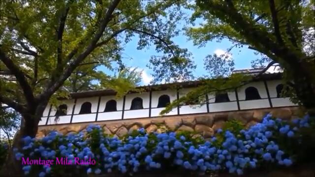 Добрый Вечер! Душевная Песня ★   Ион Суручану   -   ОСЕНЬ в ЖИЗНИ НАШЕЙ !